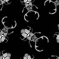 Vector seamless pattern of white beetles on a black background. Royalty Free Stock Photo
